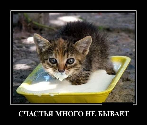 Демотиваторы демотиваторы, фото, юмор