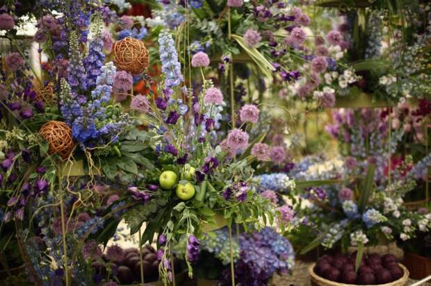 Выставка цветов «Chelsea Flower Show 2014»