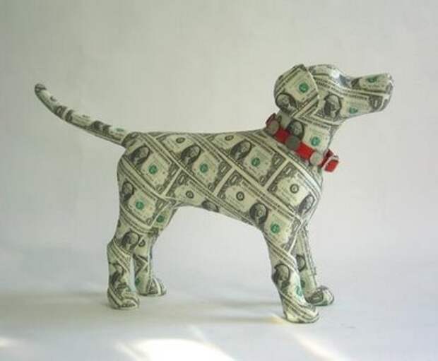 Money Dog!