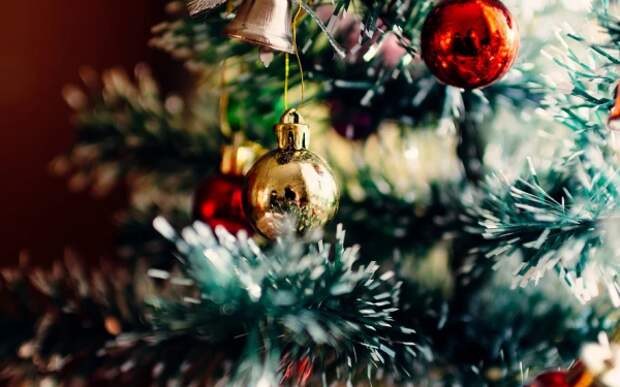 В Кемерово купили новогоднюю елку, которая стоит в три раза дороже кремлевской