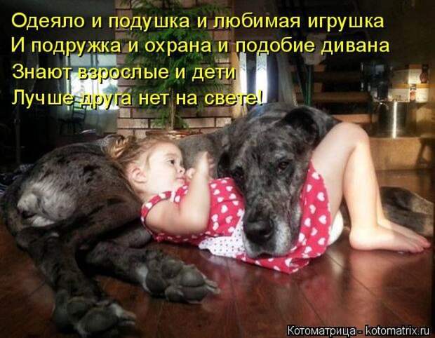 Кошатина да псятинка позитивная, этакая забавная, с надписями, очень много на выходные