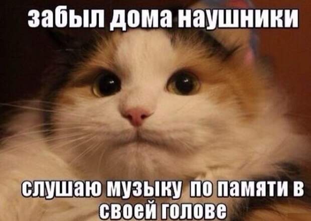 Коллекция фотомемов (17 шт)