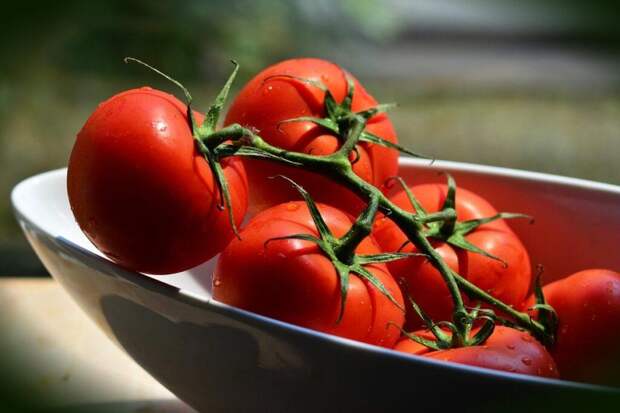 Горький опыт: какие сладкие томаты оказались пустышкой