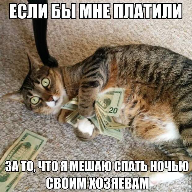Смешные картинки с подписями  юмор, картинки, прикол