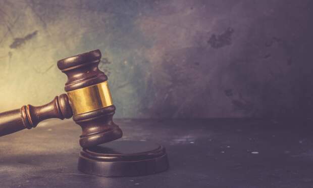 Суд взыскал 680 тысяч рублей с предпринимателя в НАО за непоставленные корма и фиктивные транспортные услуги