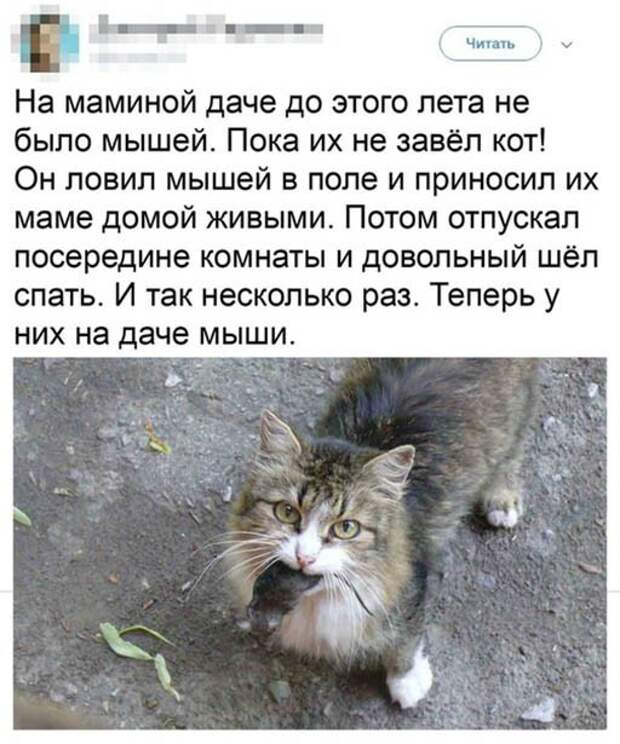 А теперь есть ) А теперь есть )