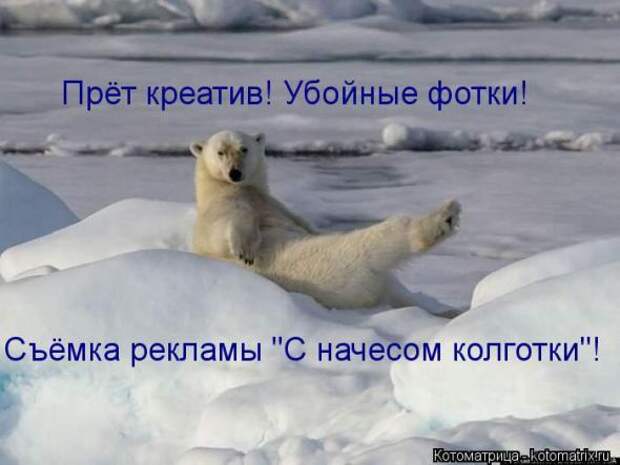 Котоматрицы(картинки с надписями)
