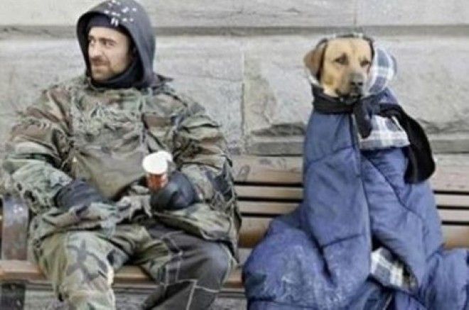 Добрые снимки, которые тронут вас до глубины души!