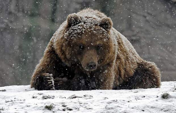 winterbeauty10