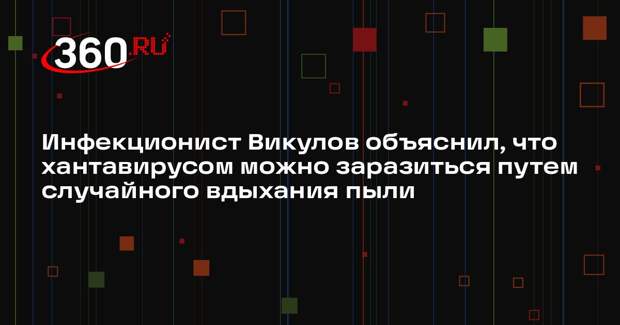 Инфекционист Викулов объяснил, что хантавирусом можно заразиться путем случайного вдыхания пыли
