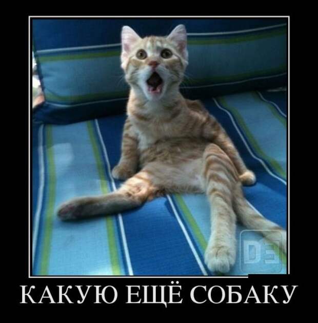 Демки