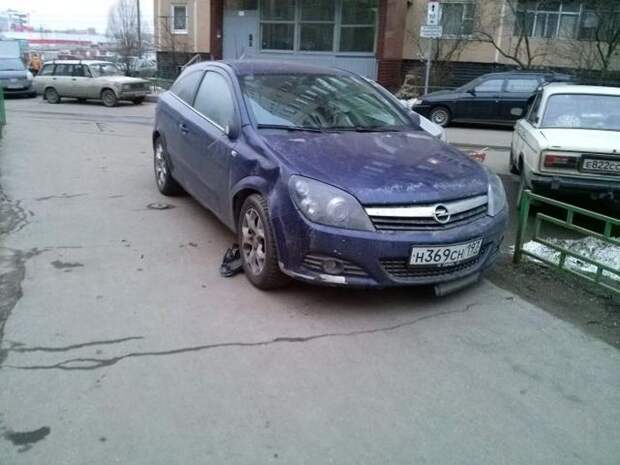 Подборка народных штрафов для гореводителей авто, дтп