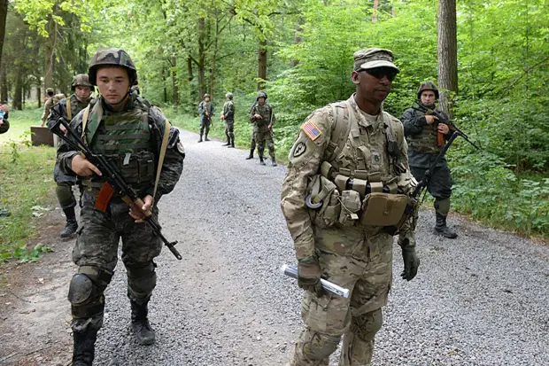 Дикие гуси бегут с Украины в родные страны...