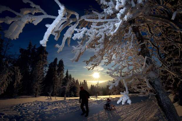 winterbeauty61