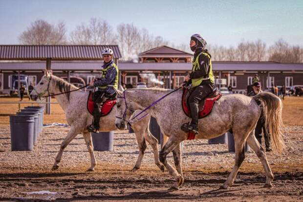 Спортсмены конно-спортивной школы из Теучежского района выступили на Кубке КБР