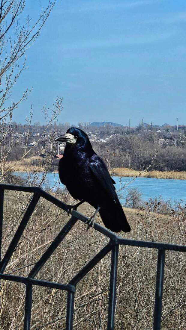 Донецк в начале марта
