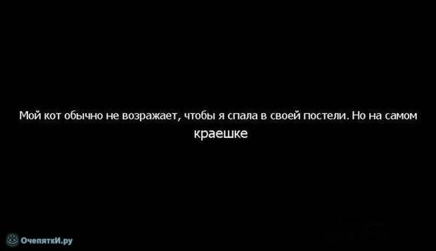 Смешно сказали 24