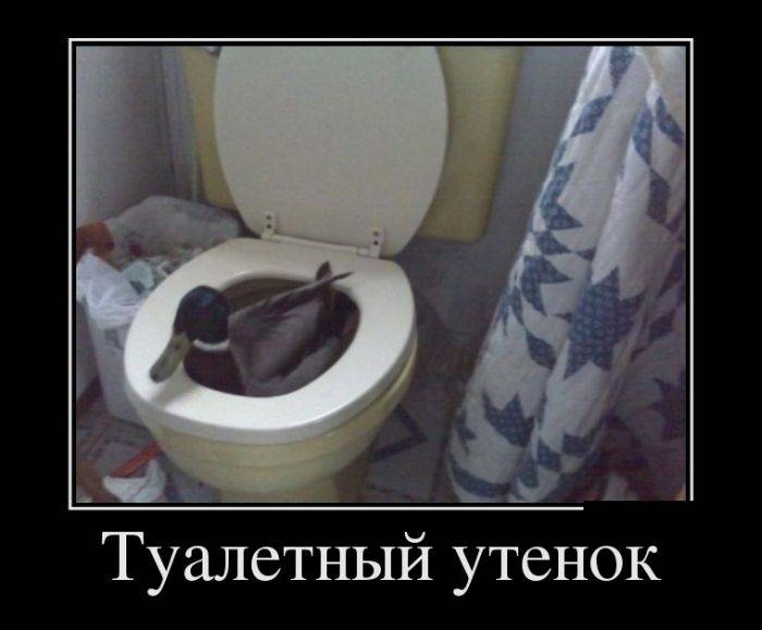 Смешные и прикольные демы (25 фото) Смешные и прикольные демы (25 фото)