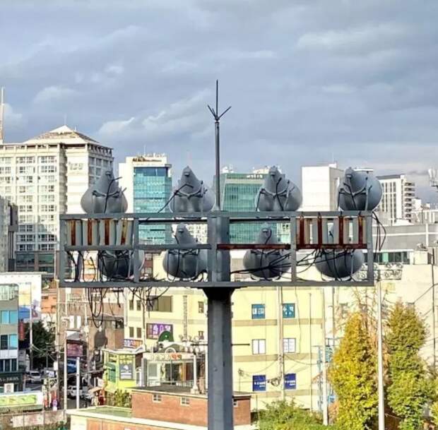 Немного снимков, которые могут озадачить даже самые острые умы