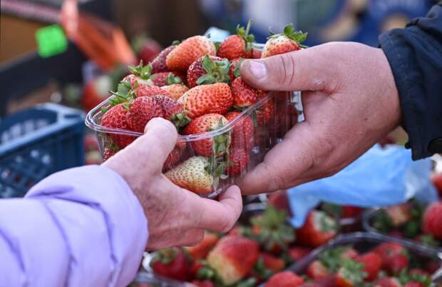 Российские бабушки начали продавать китайскую клубнику под видом отечественной
