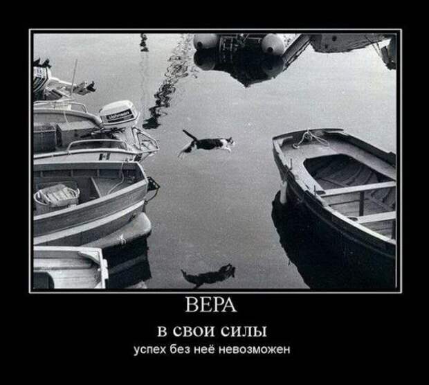 Прикольные демотиваторы