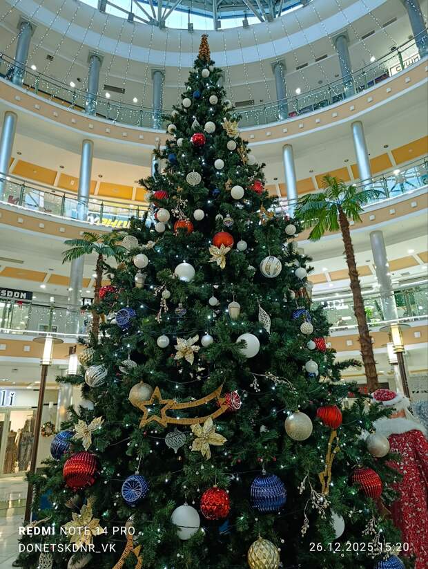 Ёлка в золотом кольце