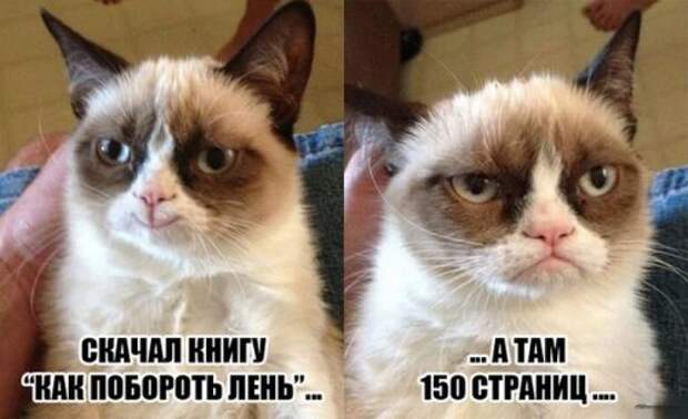 Новый сборник фотомемов (31 шт)