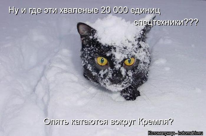 kotomatritsa_jL (700x463, 39Kb)