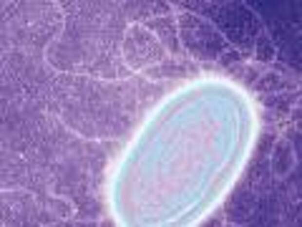 Бактериальные «провода» электронной мечты