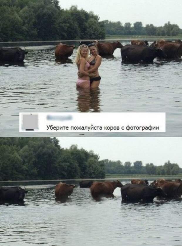 Прикольные картинки (41 шт)