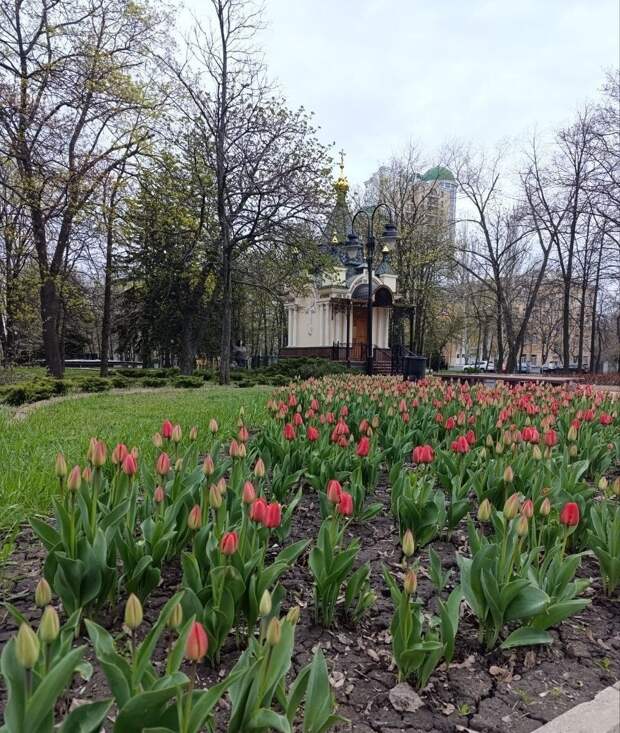 Тем временем в Донецке