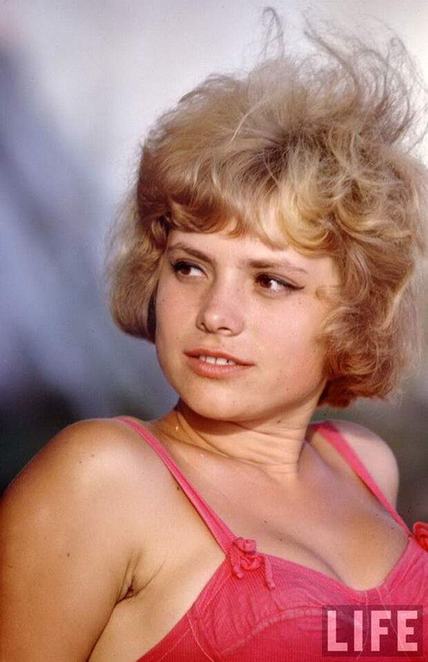 Пляжная жизнь в СССР Пляжная жизнь в СССР пляж, ссср