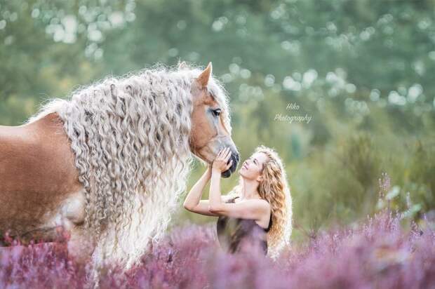 Жительница Голландии показала миру свою лошадь с поразительно длинной гривой, и она будто из сказки голландия, девушка, животные, красота, лошадь, фото, шевелюра