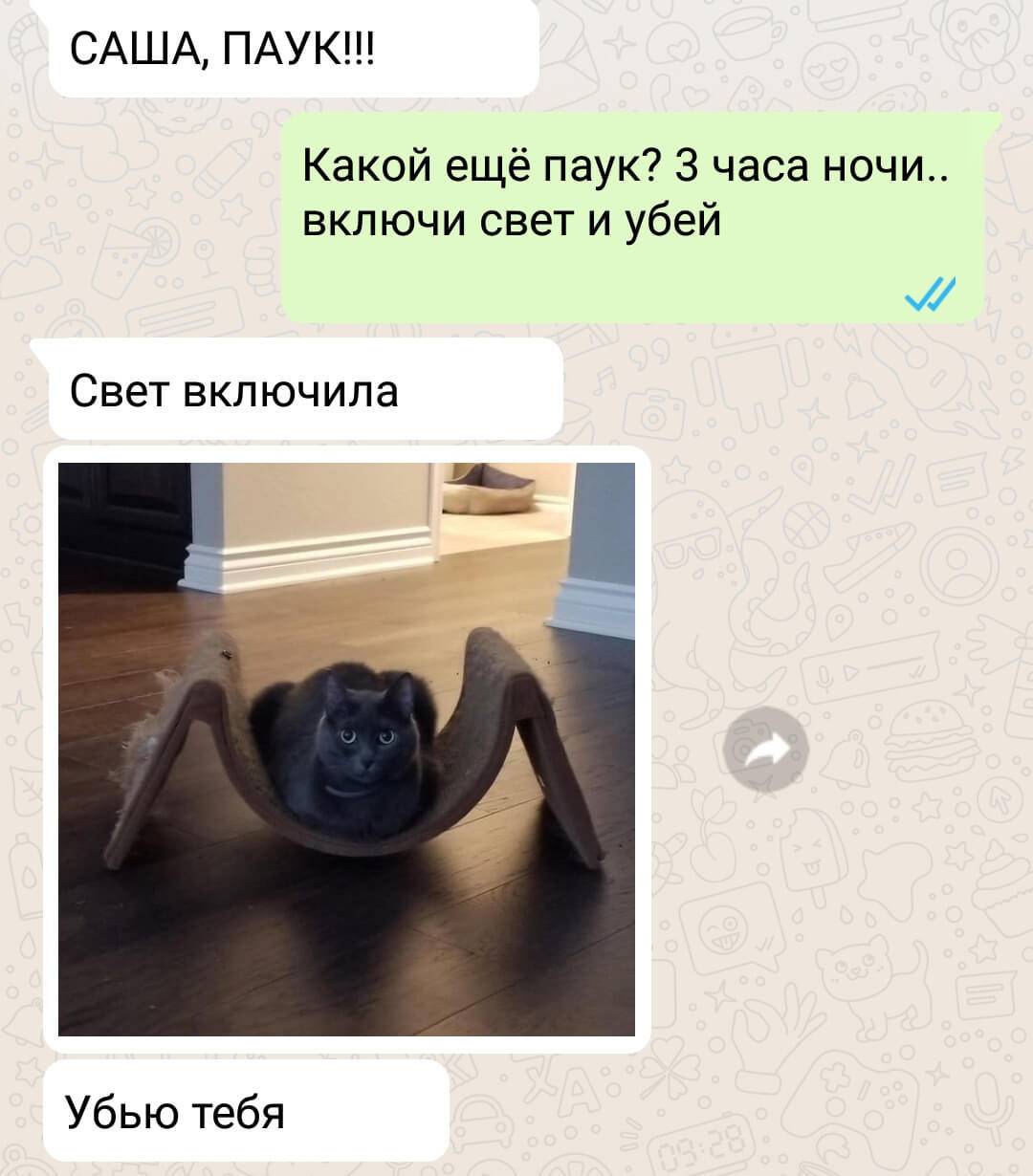Дюжина переписок в мессенджерах от людей с чувством юмора