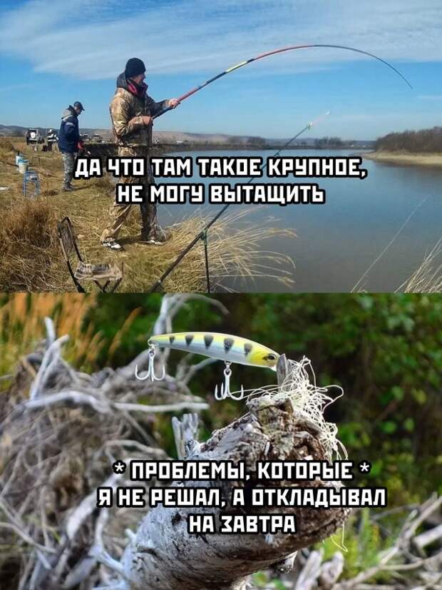 Смешные картинки 14 октября 2021 года