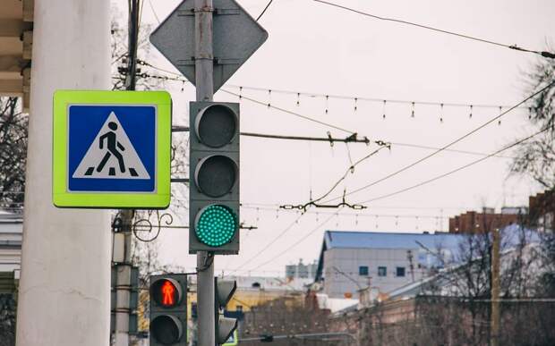 Рязанская Госавтоинспекция проводит профилактику среди пешеходов