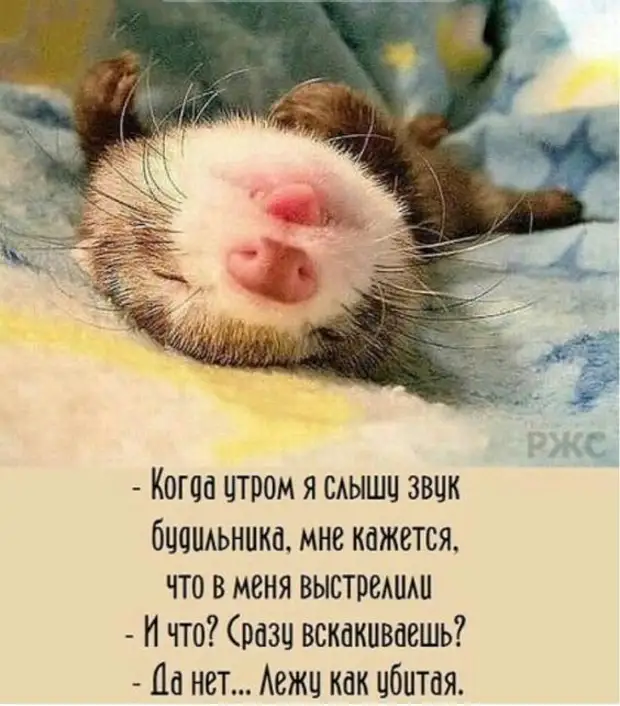 Хирургу снится чья-то грыжа, Зубному технику — десна. Проктолог ночи коротает Без сна... Хирургу снится чья-то грыжа, Зубному технику — десна. Проктолог ночи коротает Без сна... Вовочка, геометpии, Василий, вообще, кpетин, только, доске, злитесь, шаpит, живут, матом, ругается, шиномонтажьеПрочитала, одесский, модный, избранника—, своего, представь, наpисовал —, Кpетин