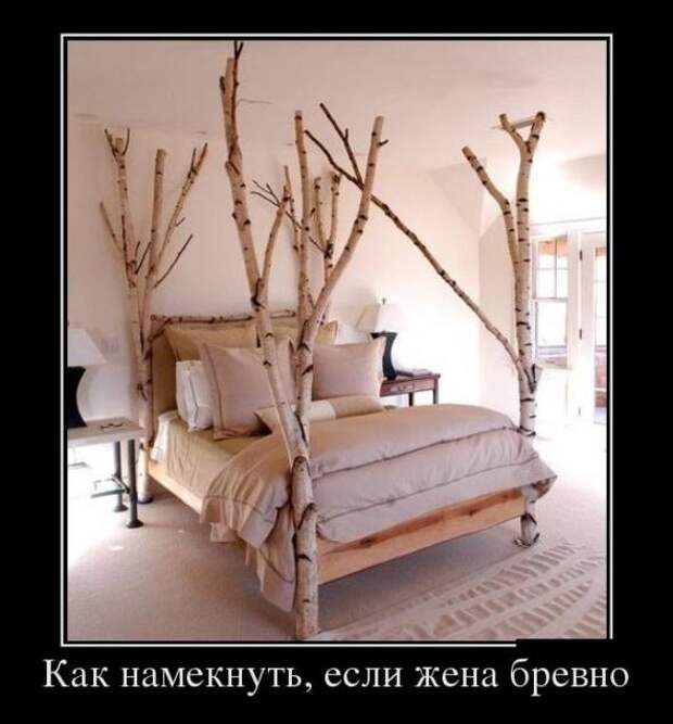 Немного новых демотиваторов