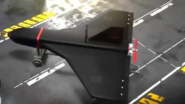 Эксперт: РФ начали использовать БПЛА «Гербера» в качестве носителя FPV-дронов