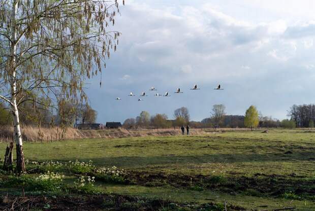 Запреты и народные приметы 17 апреля в праздник Иосифа Песнопевца