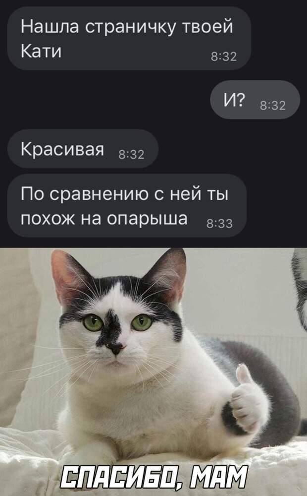 Смешные картинки 6 января 2021