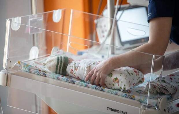 В 2025 году в Тульской области родились 96 двоен