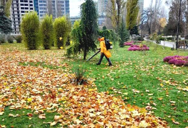 В Симферополе каждый день собирают 150 кубических метров опавшей листвы