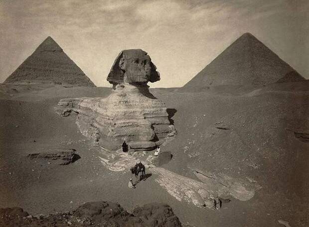 Частично раскопанный Великий Сфинкс из Гизы. Египет. Конец 19 века. история, факты, фото