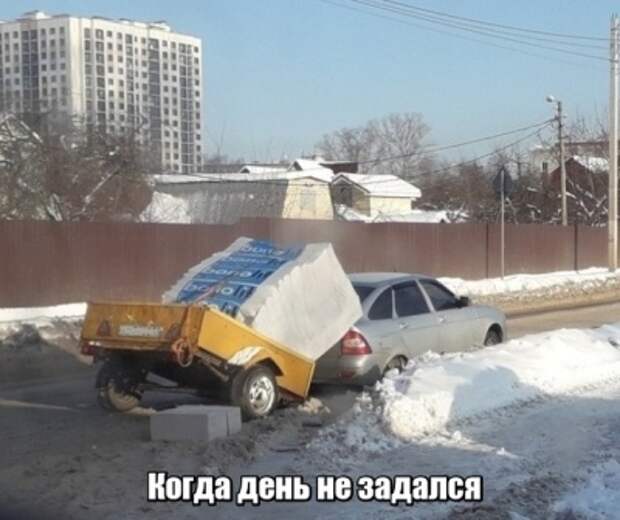 Забавные картинки и смешные фотографии с надписями из сети (12 фото)