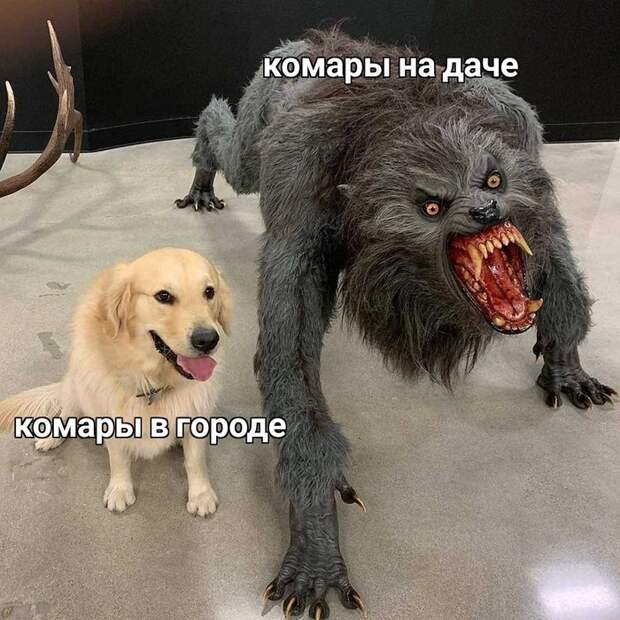 Наглядно... Наглядно...