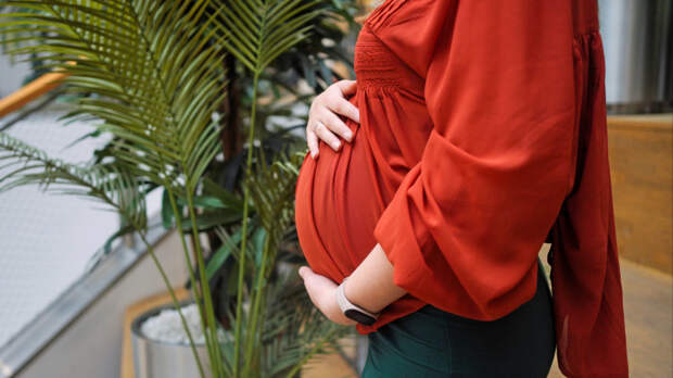 В России с 1 марта появится регистр информации о беременных