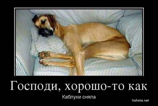 Демотиваторы (155 фото)