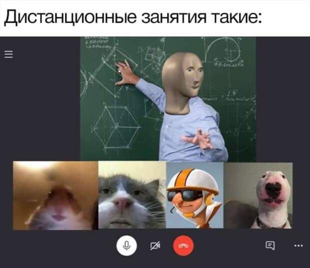 Смешные комментарии. Подборка chert-poberi-chert-poberi-57001005052020-4 картинка chert-poberi-57001005052020-4