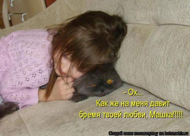 Котоматрицы (картинки с надписями)